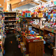 Emmaus-Dieuze-Stand-Jouets-01-paysage